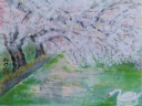 鹿沼公園 F6 鹿沼公園 F6