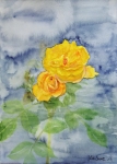 「黄色のバラ」　F4