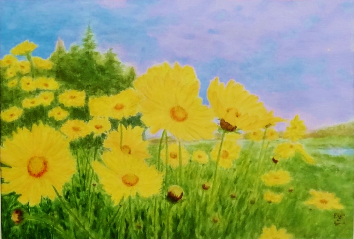 大金鶏花