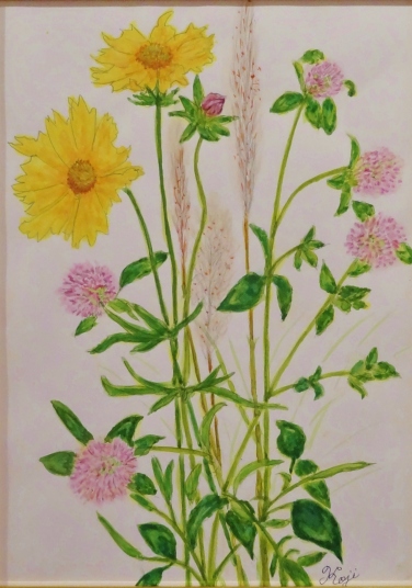 金鶏菊他