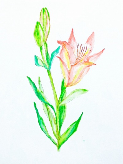 百合　　F3