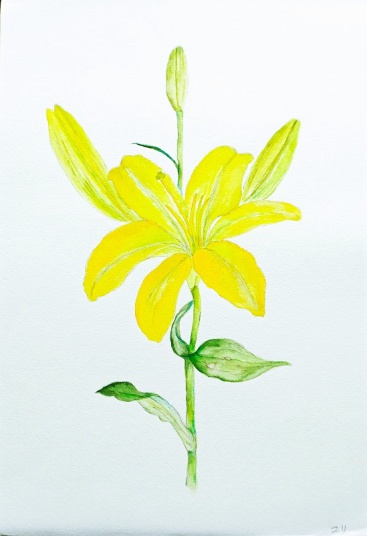 百合　　F6