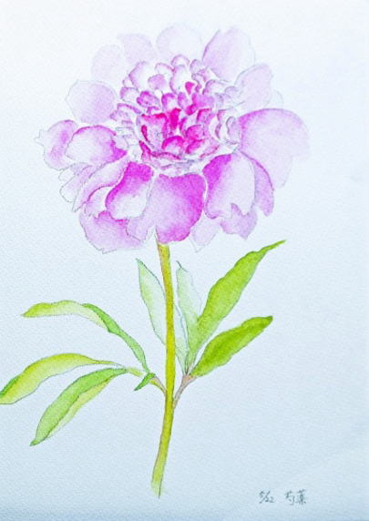 芍薬　　F4