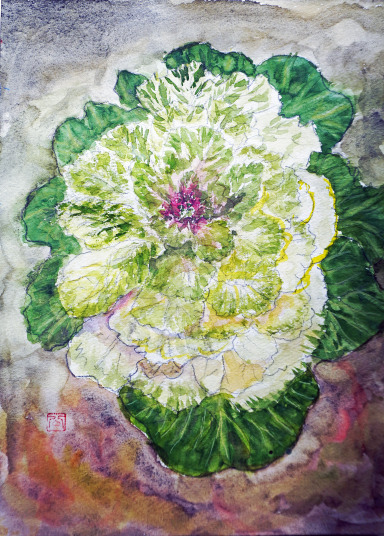 「花キャベツ」　A4